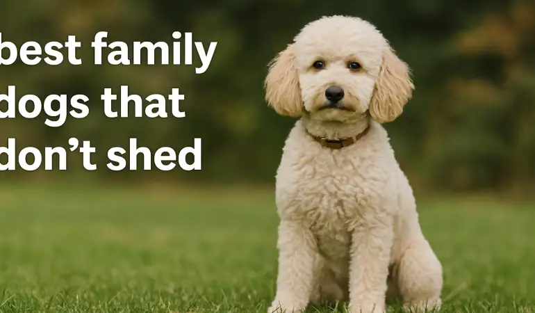 The Ultimate Guide to the Best Dog Breeds for Families that don't shed